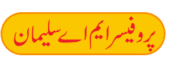 Professor M A Suleman